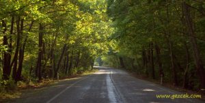 Amasra, Çakraz, Gideros, Kurucaşile