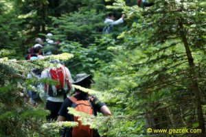Gerede Kütüklü Yol Doğa Yürüyüşü