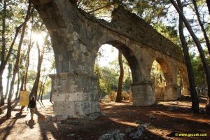 Phasellis Melanippe Korsan Koyu