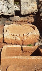 LyrBoton Kome Antalya