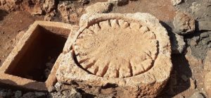 LyrBoton Kome Antalya