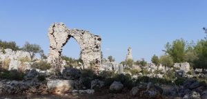 LyrBoton Kome Antalya