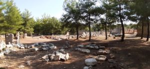 LyrBoton Kome Antalya