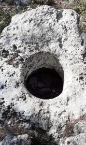 LyrBoton Kome Antalya