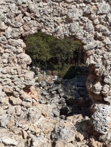 LyrBoton Kome Antalya