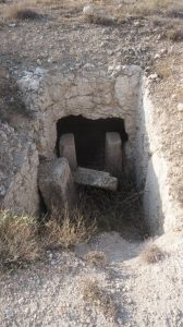 NallihanLavanta09