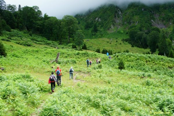 Artvin ve Rize Yaylalarında Doğa Yürüyüşü -2-